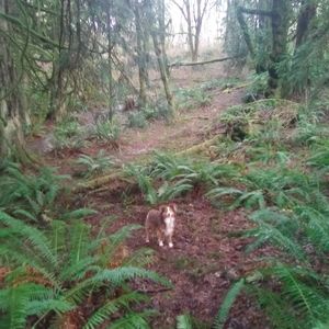 Custom Bundle for Jenni